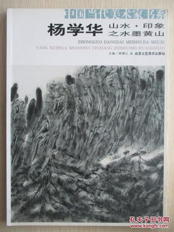 中国当代美术书系  杨学华 山水 印象之水墨黄山