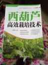 西葫芦高效栽培技术