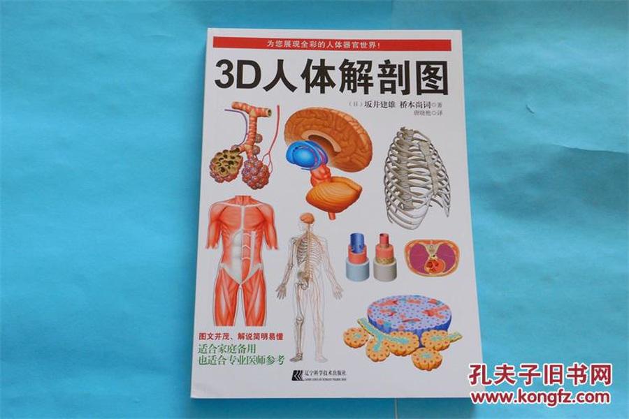 3D人体解剖图