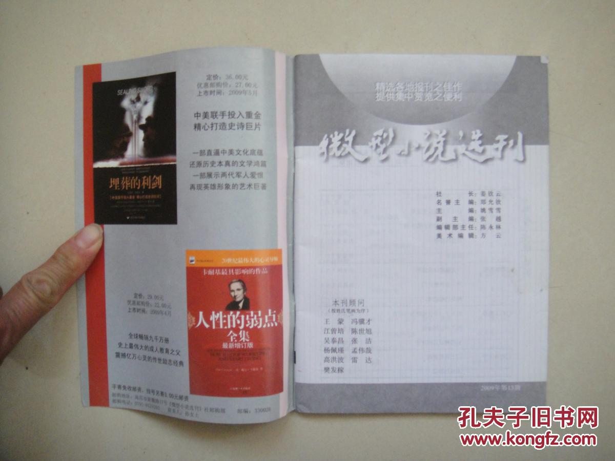 微型小说选刊  2009年第13期