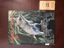 钤印  Wildlife of Australia 澳大利亚的野生动物 “黄胄珍藏书画” 印  真伪请自辩 1971年