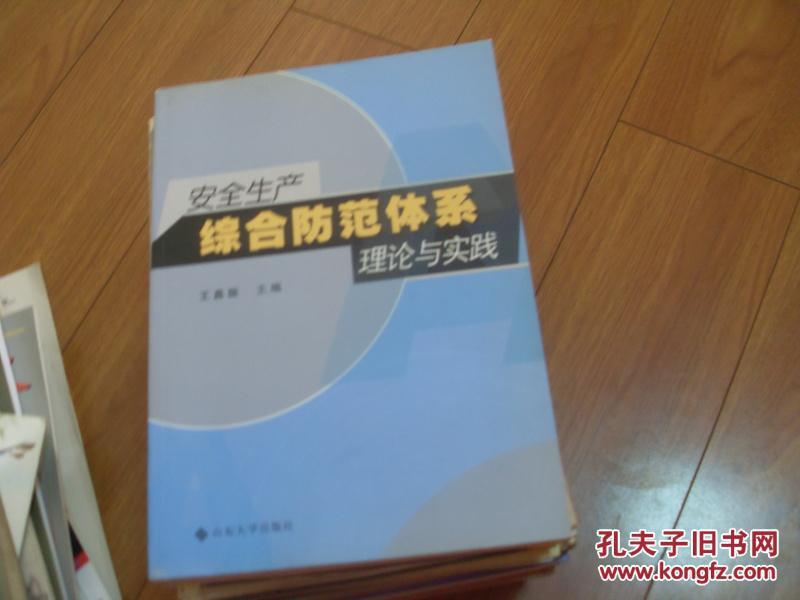 安全生产综合防范体系理论与实践   一版一印