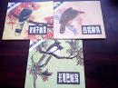 1-4岁婴幼儿知识读物《（4）动物【凶猛的鸟/长尾巴的鸟/戴帽子的鸟】3本合售》