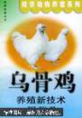 乌骨鸡养殖技术