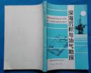 美国石油地质家协会第75届年会短训班教程——深海沉积与油气勘探