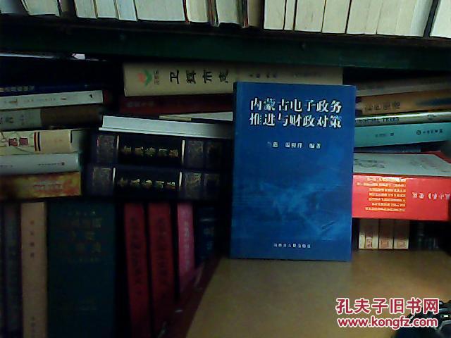 內(nèi)蒙古電子政務推進與財政對策