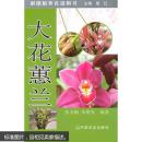 花卉盆栽大花蕙兰种植技术书籍 彩图版养花说明书:大花蕙兰