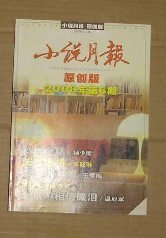 小说月报 2008年原创版 第6期   71-715-22-78   见描述
