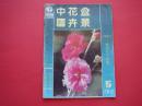 中国花卉盆景1992年第5期 药用花卉特辑