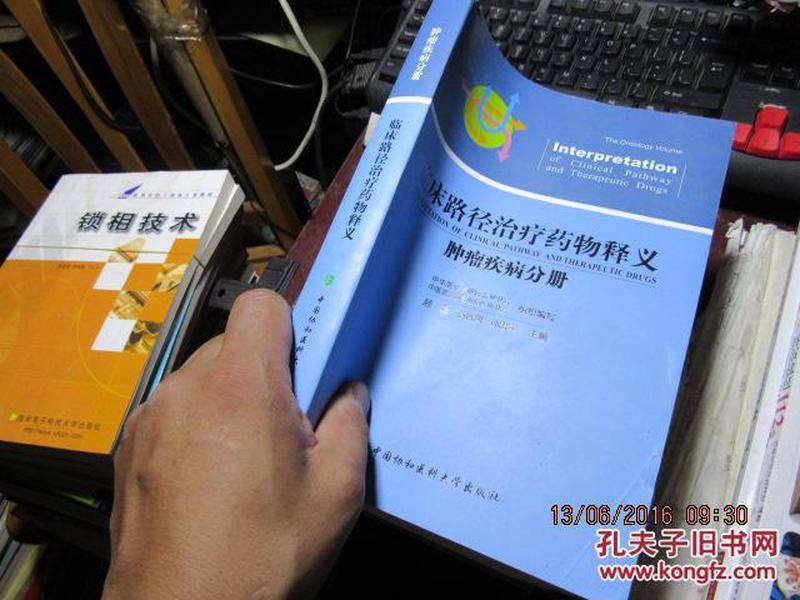 临床路径治疗药物释义 肿瘤疾病分册 1035