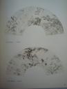 李世南人物画《国画》第1期：钱维城山水画册页等、16开版本
