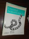 Essential ActionScript 3.0