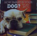 ★雅思外文★ 英文原版：【精装】你的狗有多聪明？测试你宠物的智商：How Smart Is Your Dog Test -Your Pets IQ