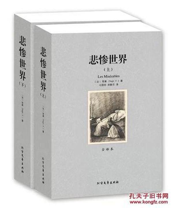 世界文学名著:悲惨世界(全译本)(套装共2册)