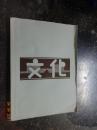 文化批判月刊 第五号 （影印民国版本）