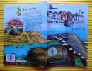 全新恐龙大揭秘《白垩纪》1 2005年北方妇女儿童出版社 彩色特16开本（无光盘）