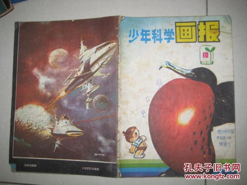 少年科学画报1981年第10期  DA 3818