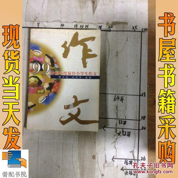 99中国年度最佳小学生作文