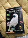 鸟的饲驯与玩赏