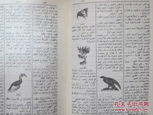 80年代阿拉伯文旧书 关于动植物自然科学方面的词典 不认识阿文 买家自辨 32开精装