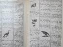 80年代阿拉伯文旧书 关于动植物自然科学方面的词典 不认识阿文 买家自辨 32开精装