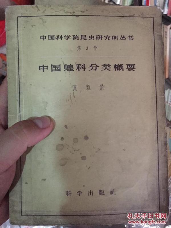中国蝗科分类概要（中国科学院昆虫研究所丛书第3号）馆藏  大32！