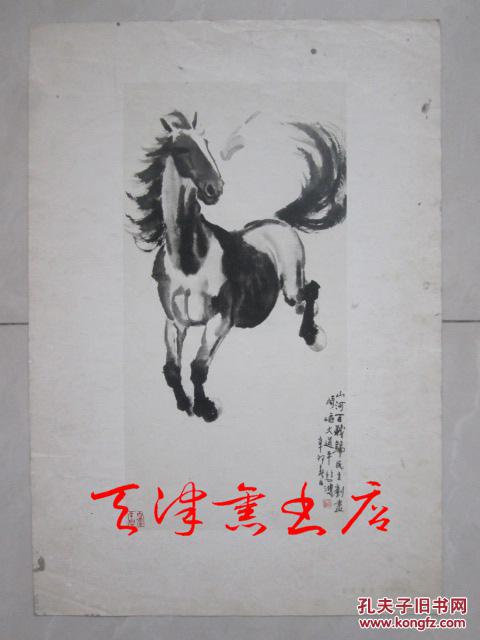 徐悲鸿画马（8开单张册页 1951年）