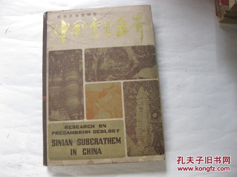 中国震旦亚界:前寒武地质研究 16开精装本