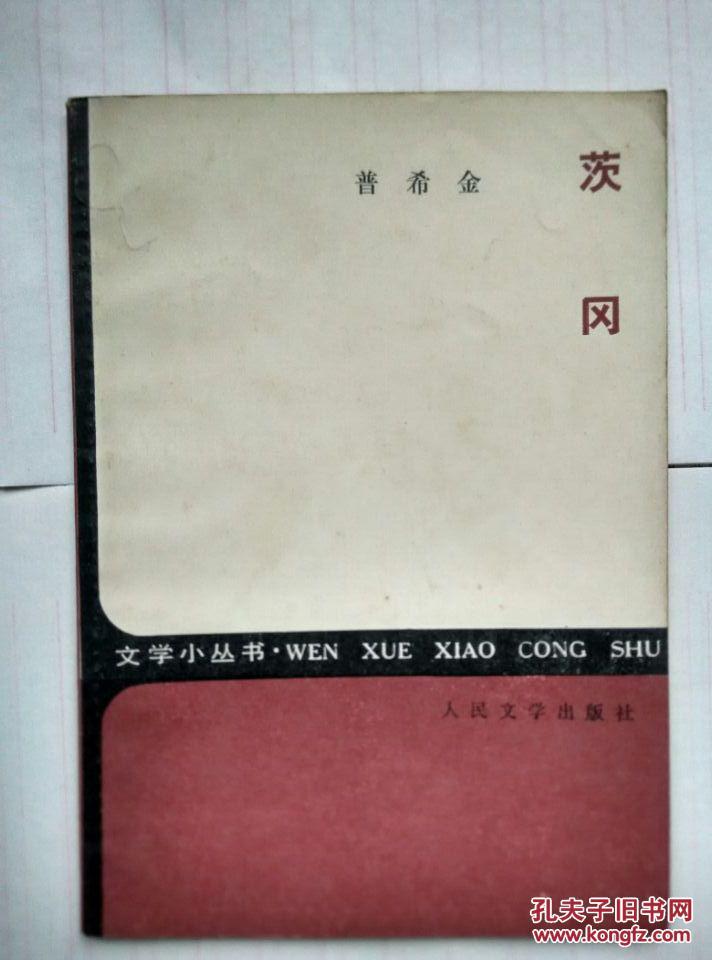 茨冈（诗集）