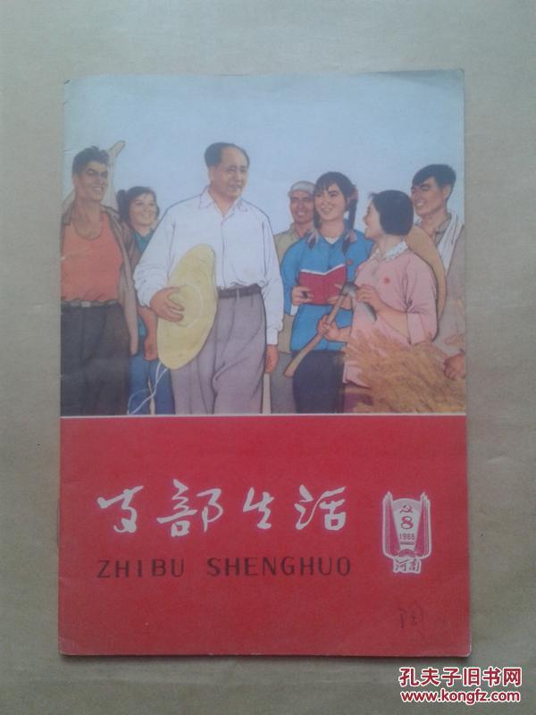 支部生活1966.8（河南）