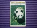 中国四川成都97国际熊猫节-1