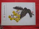 荣宝斋画谱 （八） 花卉草虫部分