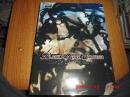 名家彩图精选：BLACK ROCK SHOOTER