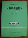 H号 人体断层解剖学【第二版】