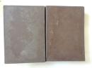 A DICTIONARY OF URDU, CLASSICAL HINDI AND ENGLISH（2册全，乌尔都语/印地文/英文词典 16开，硬精装）