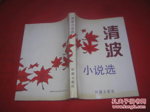 清波小说选