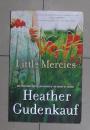 英文原版 Little Mercies by Heather Gudenkauf 著