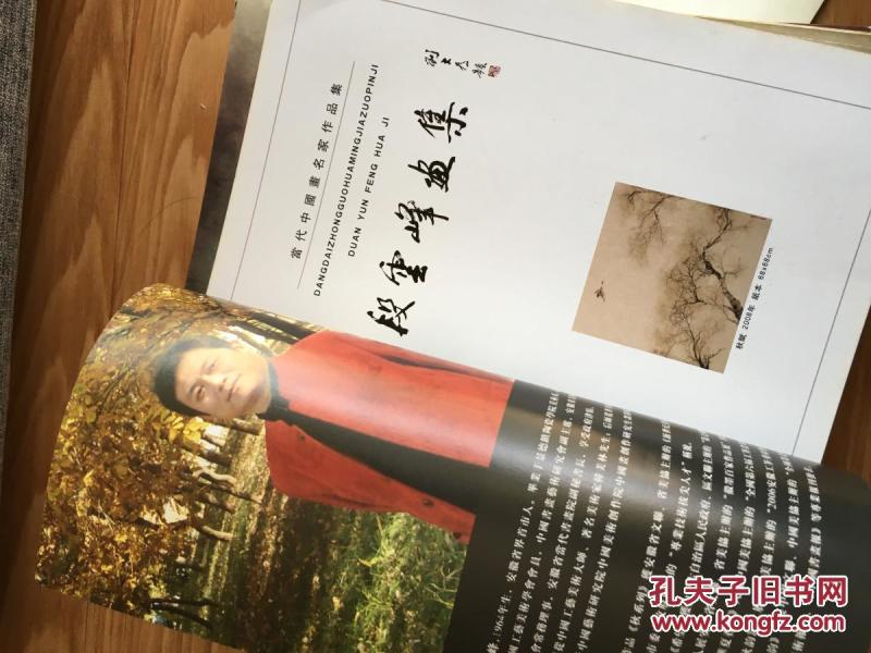 《段云峰画集》界首市著名画家！