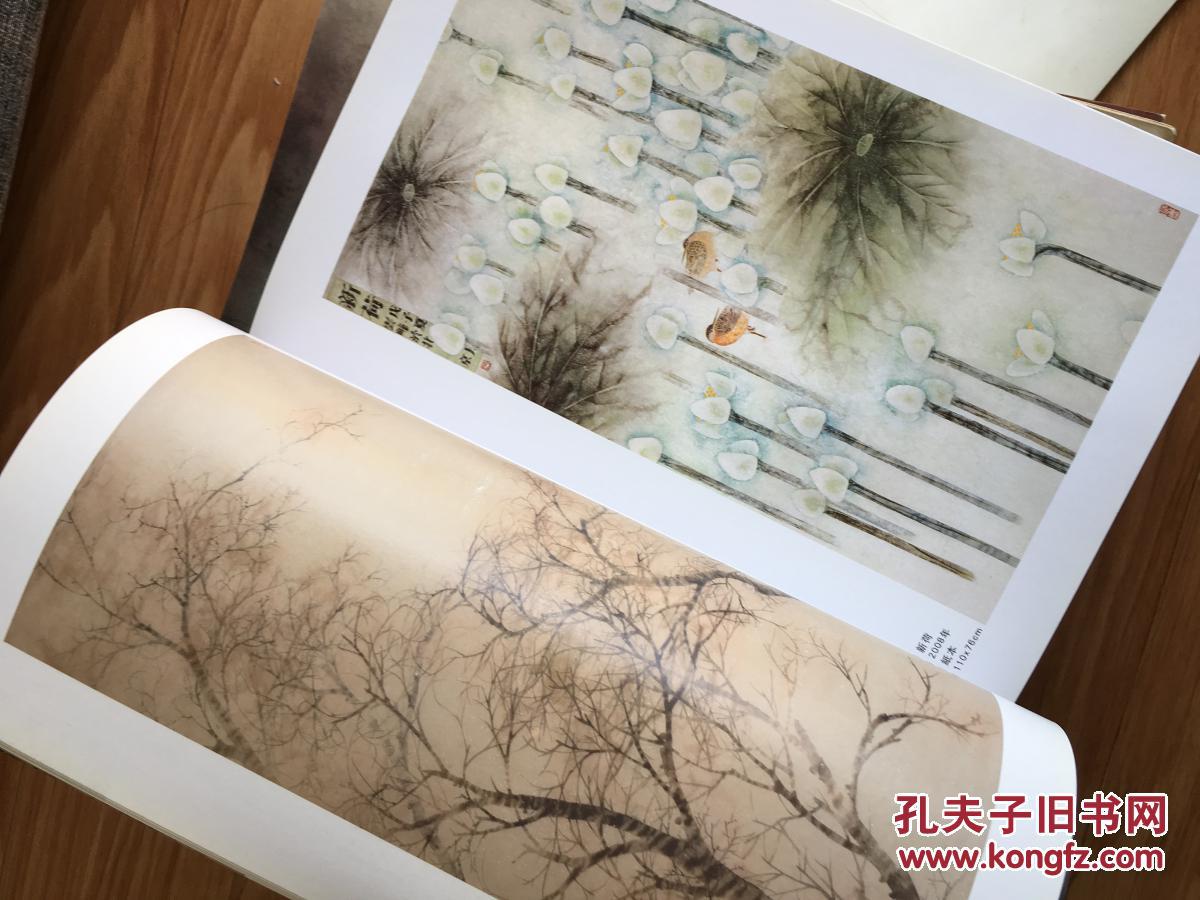 《段云峰画集》界首市著名画家！