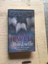 LISA JEWELL the third wife