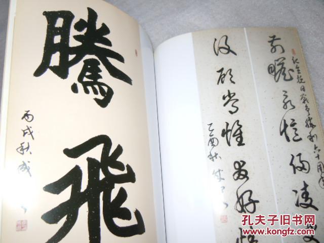 李成印书法集  AE2-13
