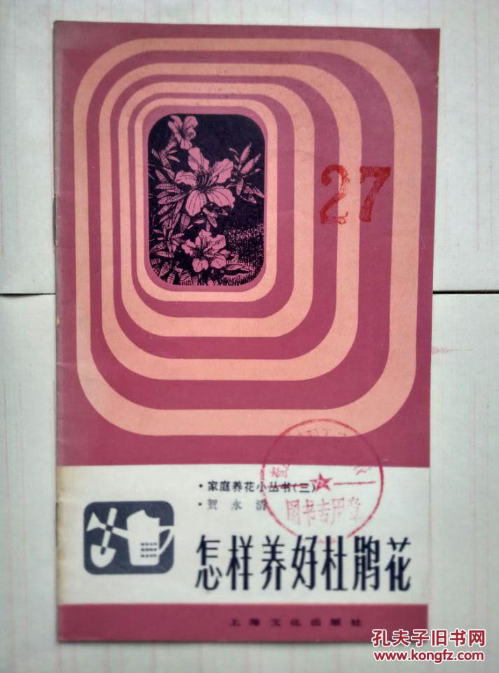 怎样养好杜鹃花