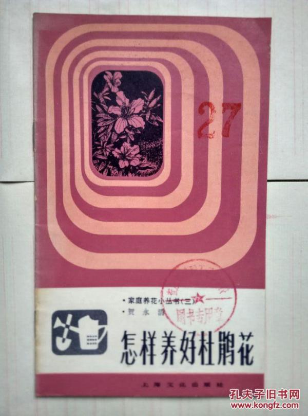 怎样养好杜鹃花