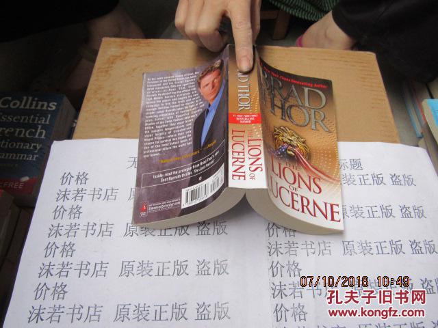 the lions of lucerne 6088