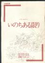 宝塚歌剧演出宣传册之一 只有12页哦