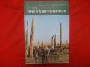 日中中日 丹丹乌里克遗迹学术调查报告书  大16开厚册