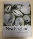 The Encyclopedia of New England