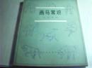 画马常识
