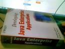 Developing Java Enterprise Applications (英语) 平装