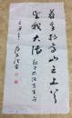 胡世法书法